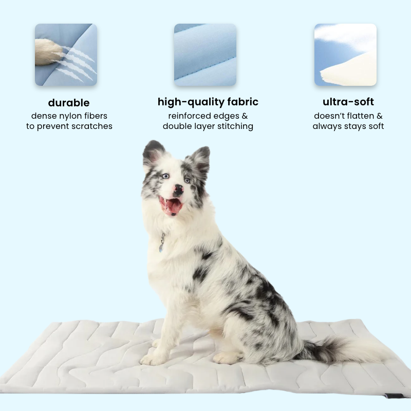 dog cooling mat